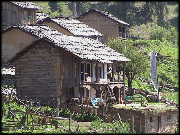 Local House