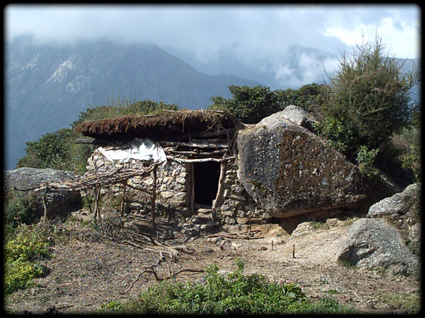 Shepherd-house