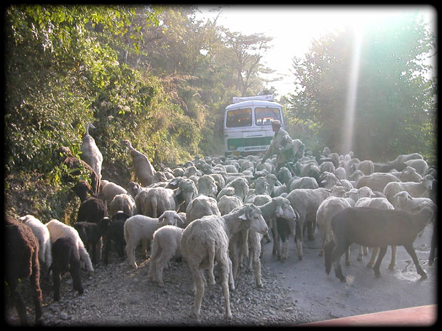 Traffic-Jam