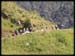 Barot Trek