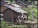 Local House