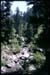 Moutain Stream